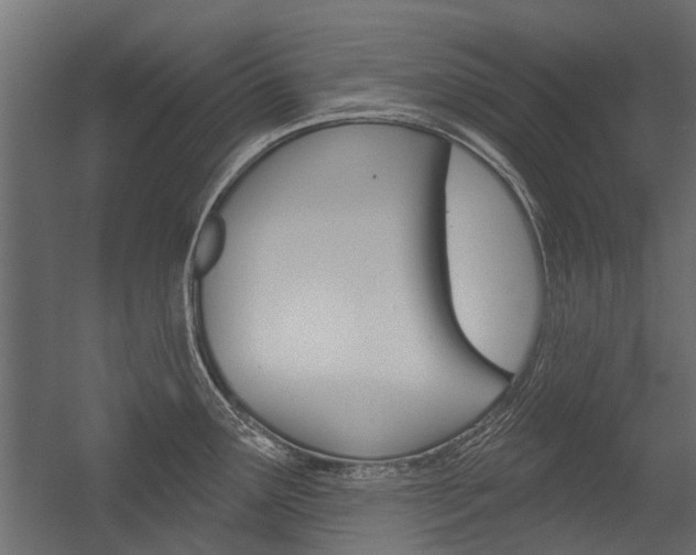 X0000054461291200507291011