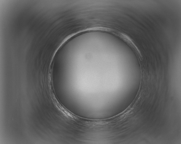 X0000054461292200507291011