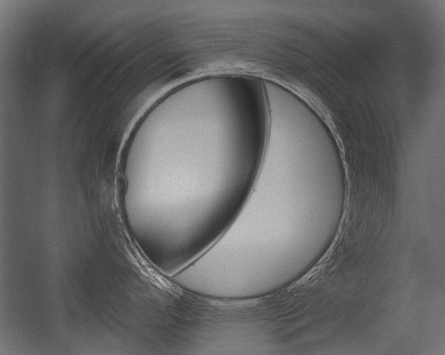 X0000054461296200507291011