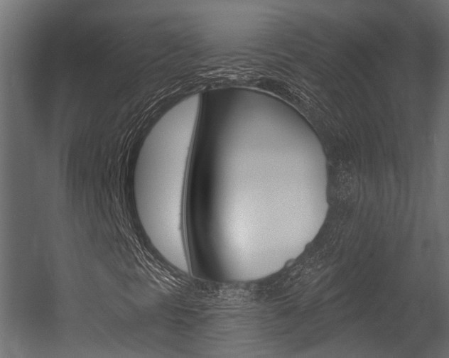 X0000054461297200507291010