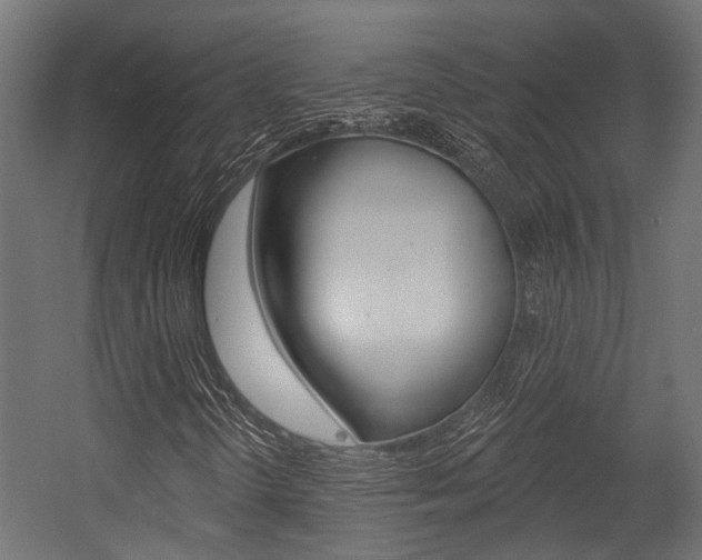 X0000054461298200507291011