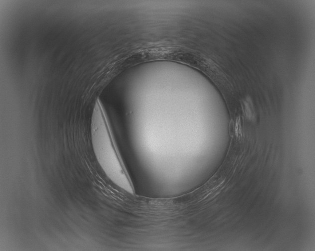 X0000054461299200507291011