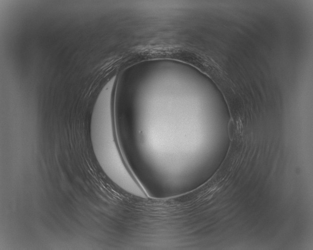 X0000054461300200507291011