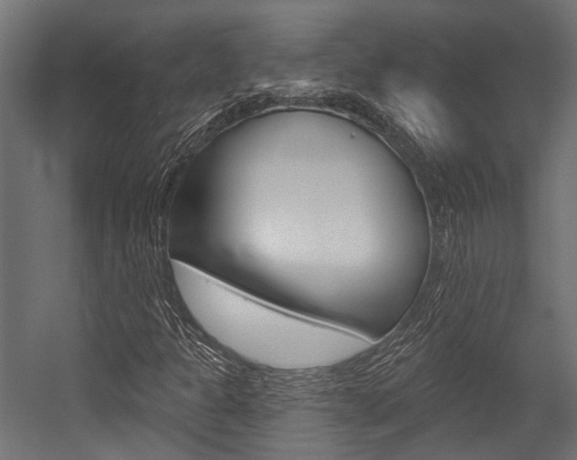 X0000054461301200507291011