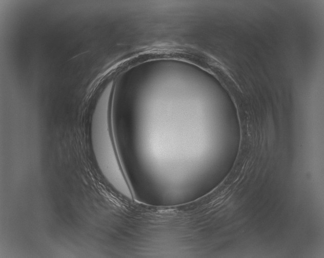 X0000054461304200507291011