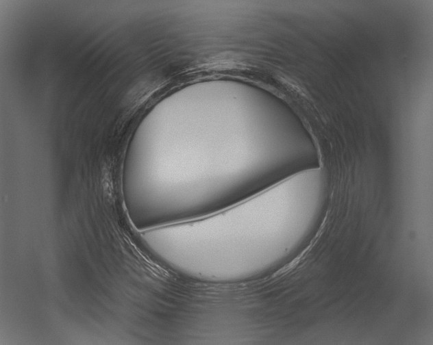 X0000054461305200507291011