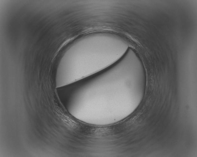 X0000054461306200507291011