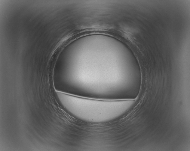 X0000054461307200507291011