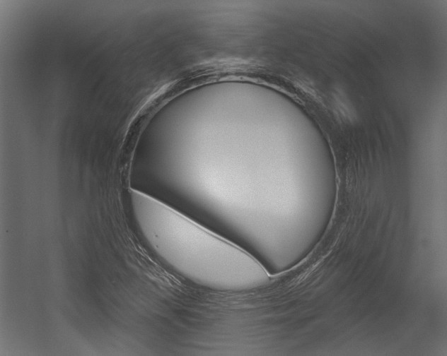 X0000054461309200507291011