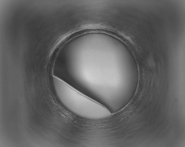 X0000054461311200507291011