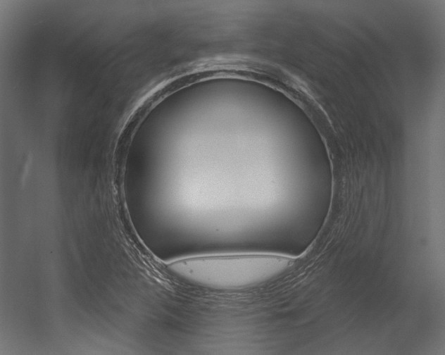X0000054461312200507291011