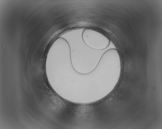 X0000054461314200507291011