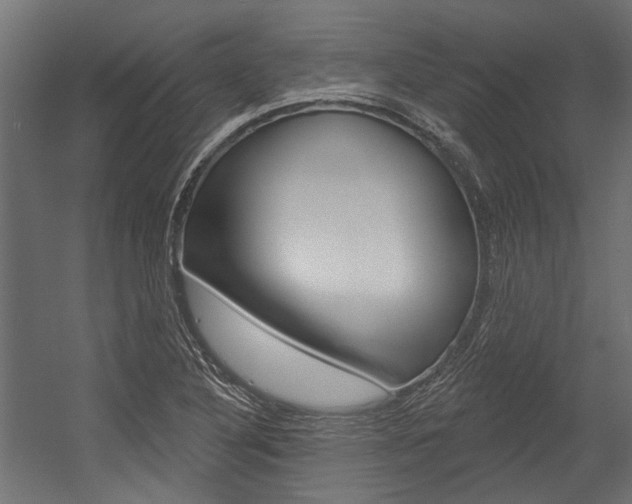 X0000054461316200507291011