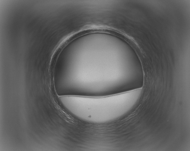 X0000054461319200507291011