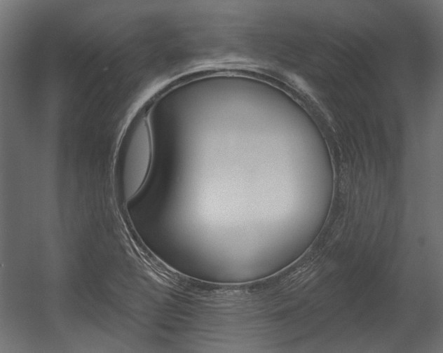 X0000054461320200507291011