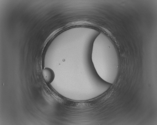 X0000054461322200507291011