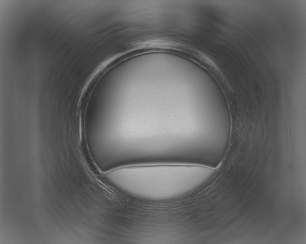 X0000054461323200507291011