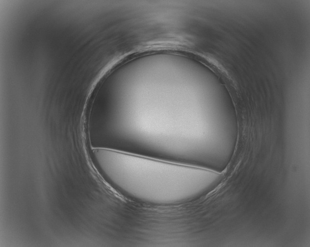 X0000054461325200507291011