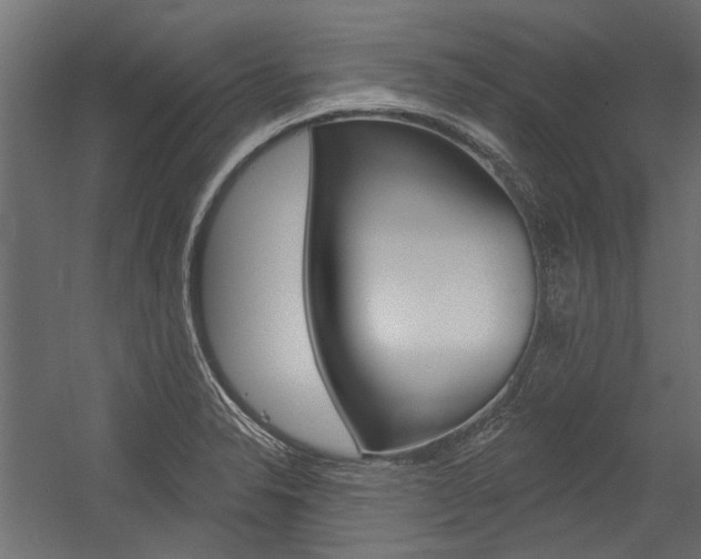X0000054461326200507291011