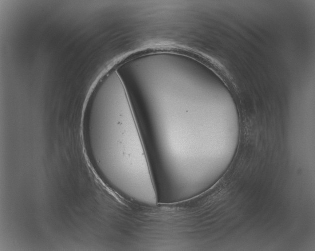 X0000054461327200507291011