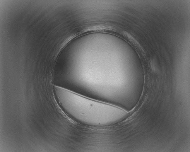 X0000054461329200507291011
