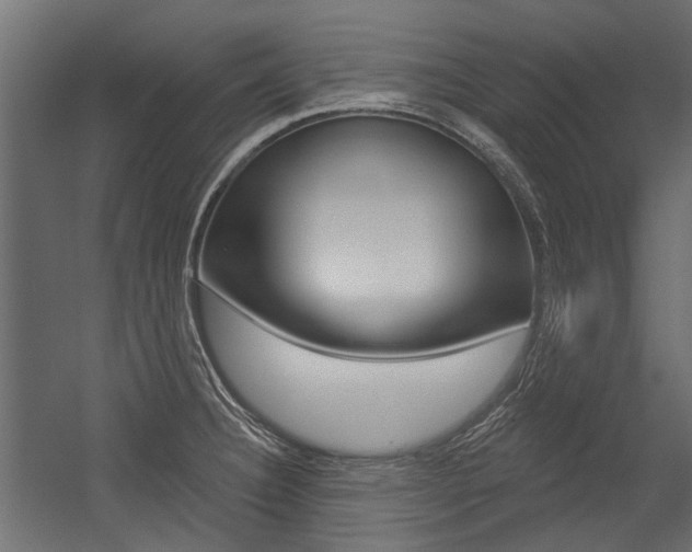 X0000054461332200507291011