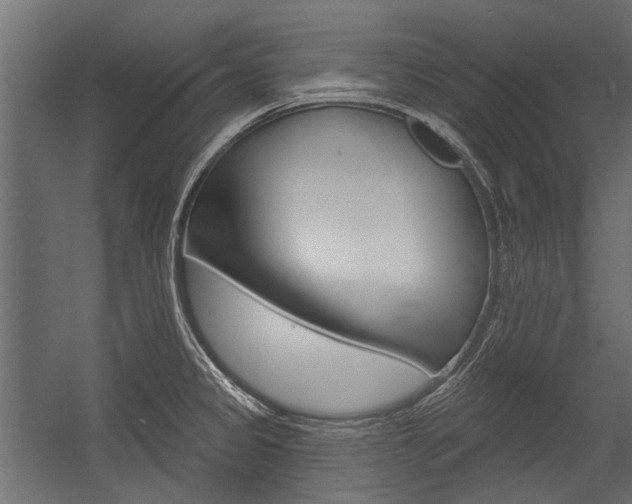 X0000054461333200507291011