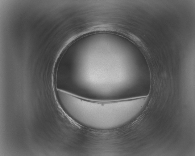 X0000054461334200507291011