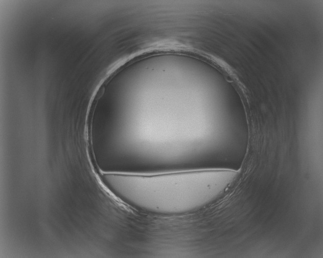 X0000054461335200507291011