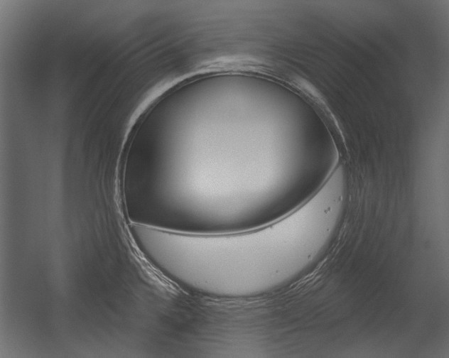 X0000054461336200507291011