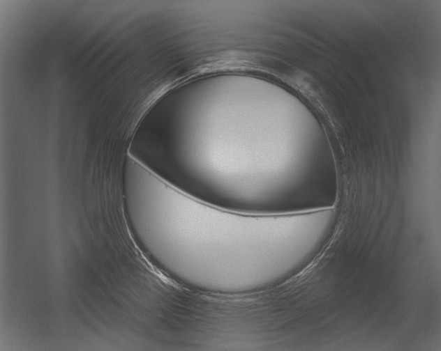 X0000054461337200507291011