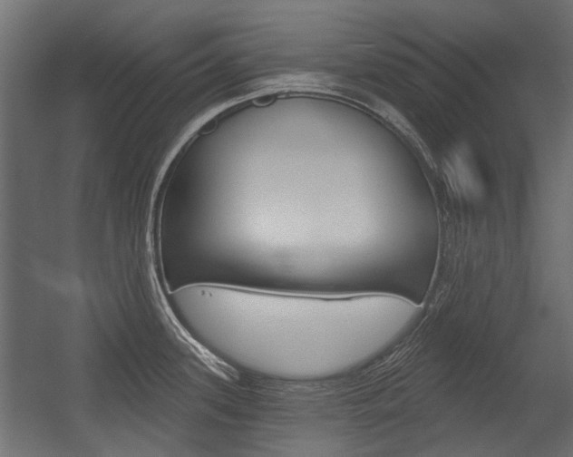X0000054461339200507291011