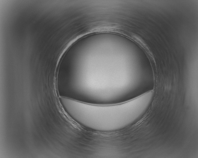 X0000054461340200507291011