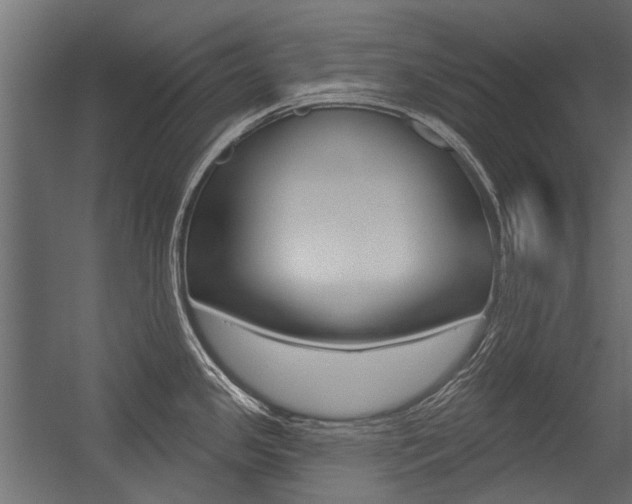 X0000054461341200507291011