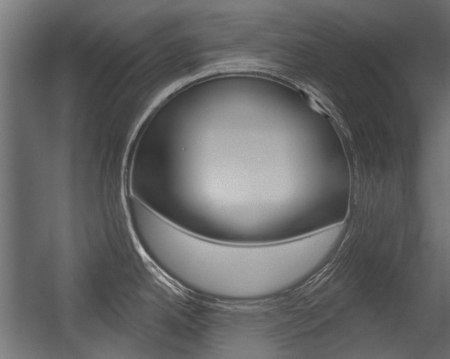 X0000054461342200507291011