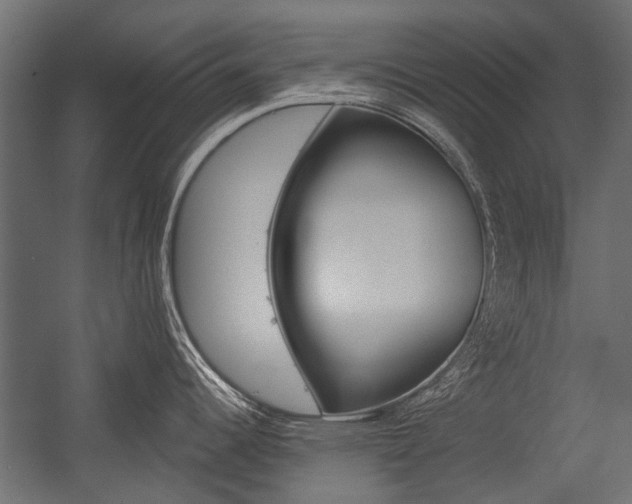X0000054461344200507291011