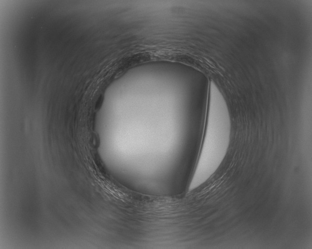 X0000054461345200507291010
