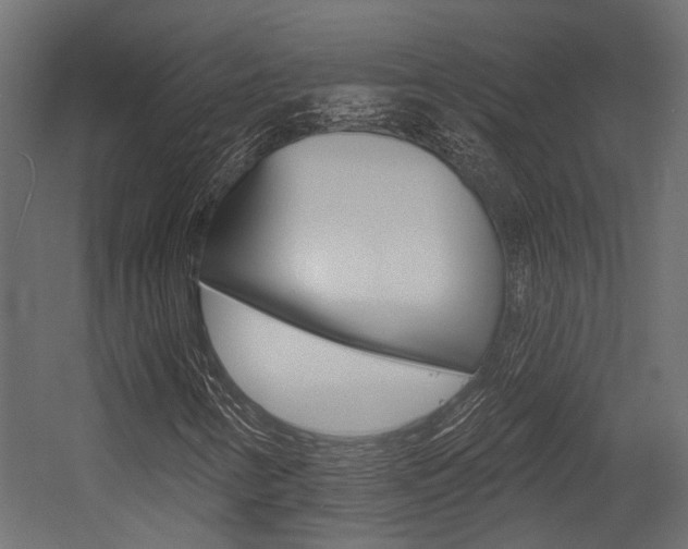 X0000054461346200507291010