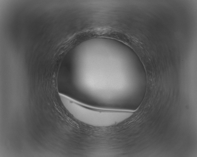 X0000054461349200507291010