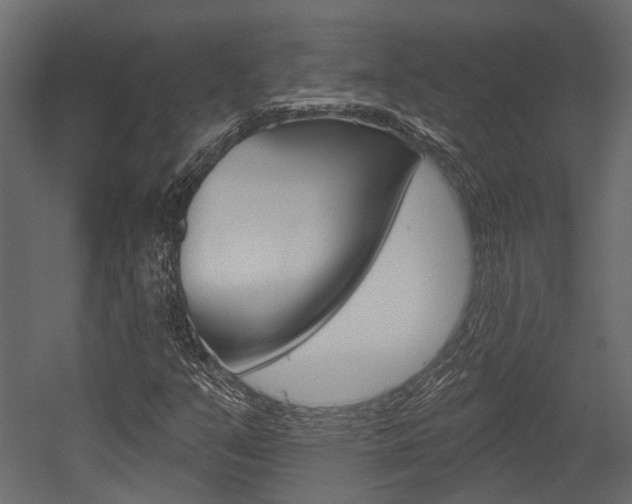 X0000054461351200507291010