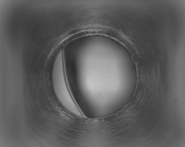X0000054461352200507291010