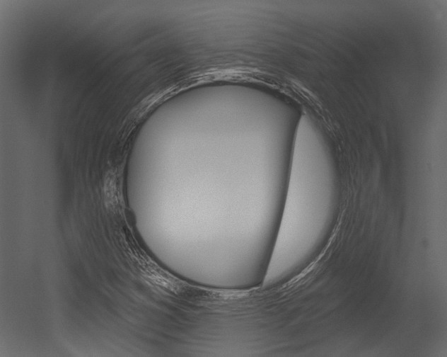X0000054461353200507291010