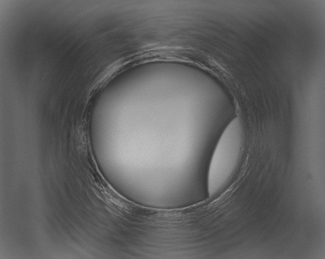 X0000054461354200507291010