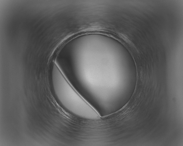 X0000054461356200507291010