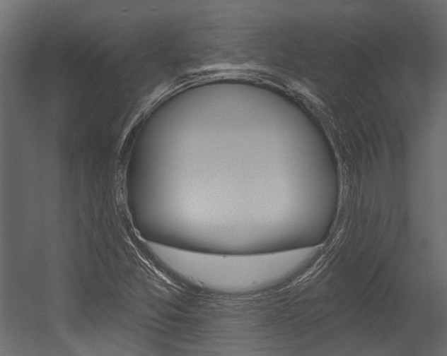 X0000054461357200507291010