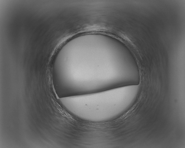 X0000054461358200507291010