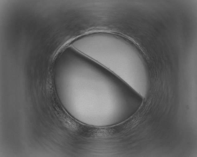 X0000054461359200507291010