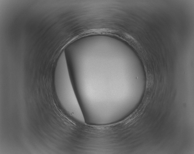 X0000054461361200507291010