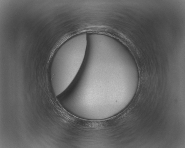 X0000054461362200507291010
