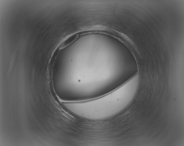 X0000054461364200507291010